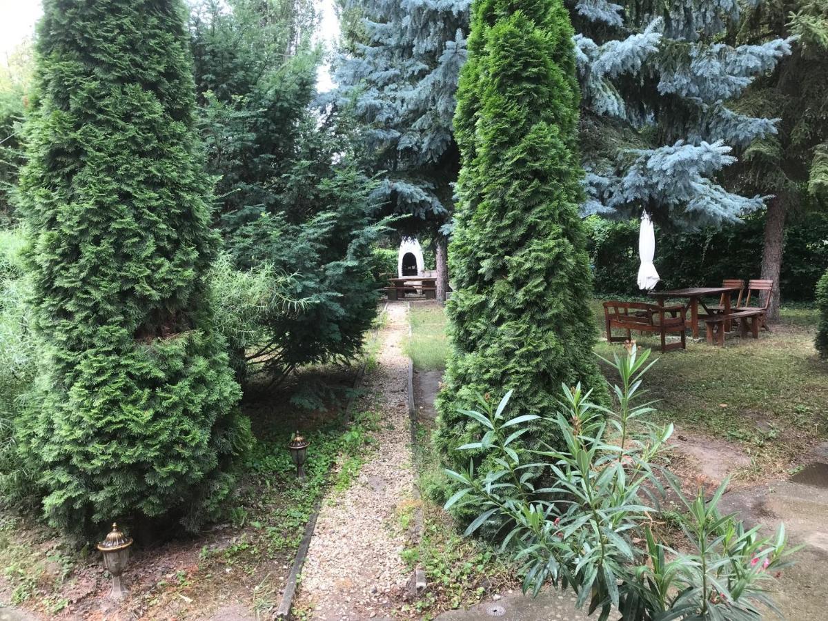 Platanus Vendeghaz Zamardi Bed & Breakfast Bagian luar foto